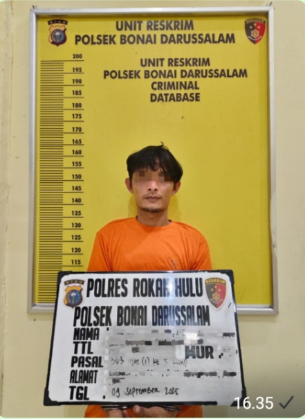 Residivis Kasus Pencurian Sawit Kembali Ditangkap Polsek Bonai Darussalam