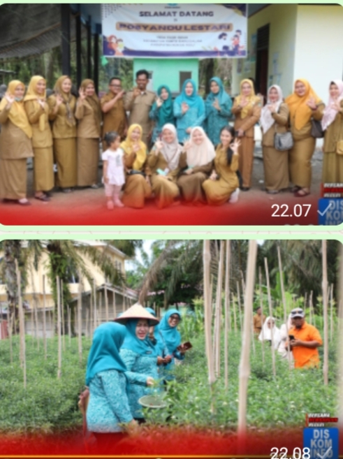 Ketua TP PKK Rohul dr. Yeni Dwi Putri Anton Panen Melon Dan Tinjau Posyandu Lestari Di Desa Pasir Indah